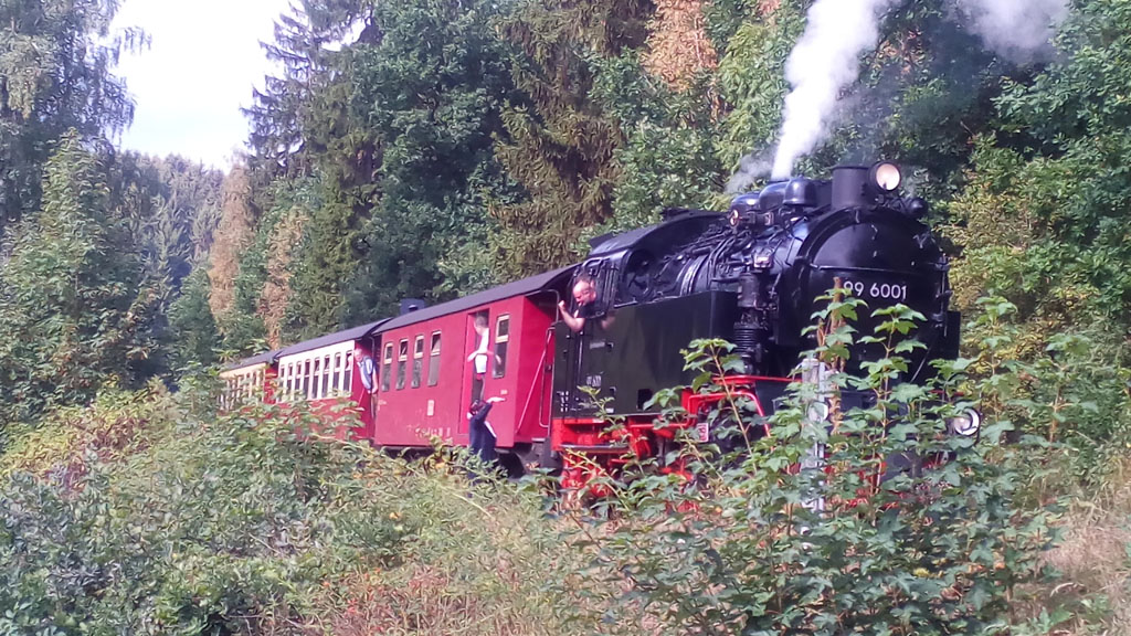 Segunda parada imprevista camino de Harzgerode