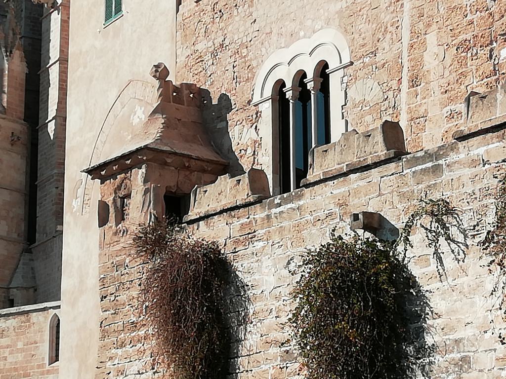 Estancias anexas entre la Catedral y el Museo diocesano y garita militar