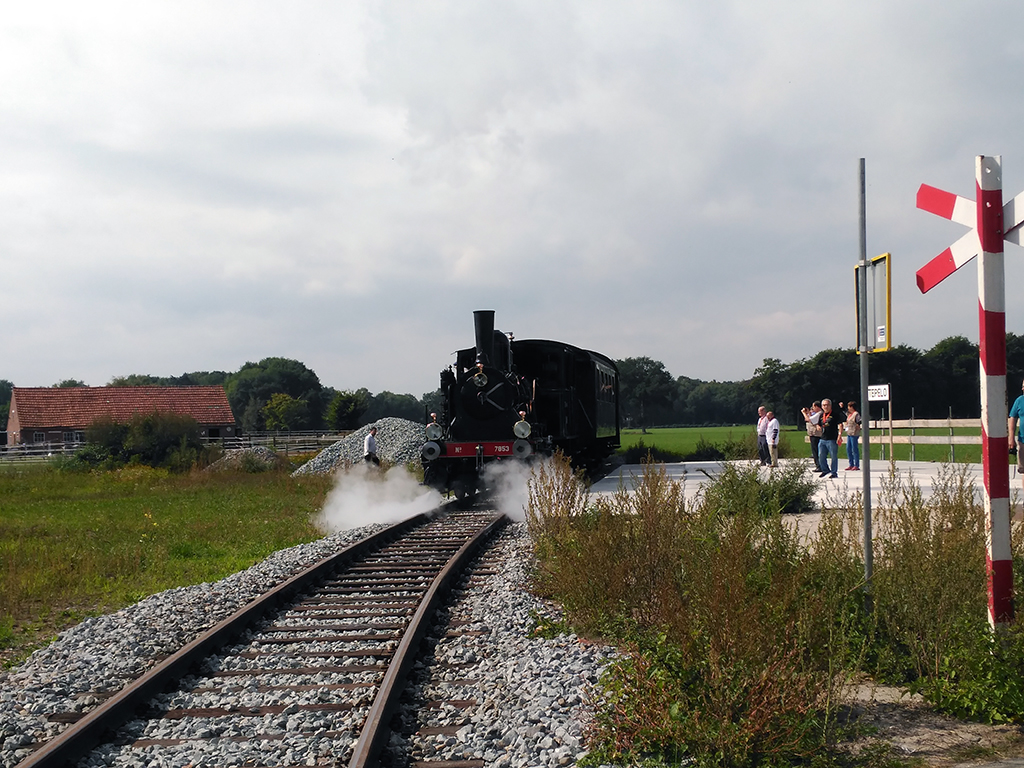 Alto del tren de vapor para realizar fotos